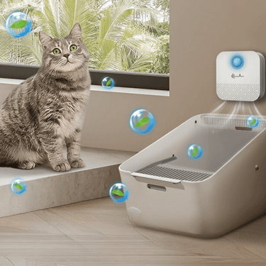 Downy Paws Cat Litter Deodorizer Cat Supplies KittyNook Cat Company